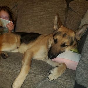 Meet your Posher, Rachel